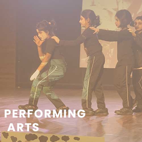 Performing Arts - Nalapad Academy